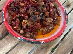 -柴窝堡22号辣子鸡·传承新疆菜