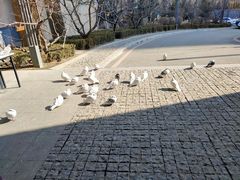 -清河半岛温泉度假酒店