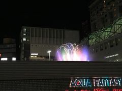 -乐天免税店(明洞店)