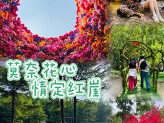 -红崖峡谷景区