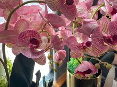 -楚禾宴·家宴(光谷大道店)