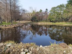 -长广溪湿地公园