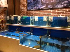 水产区-姜君·千岛湖鱼头馆(浦东大道店)