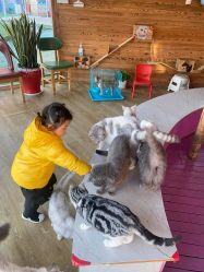 -萌宠亲子动物乐园(槐房万达店)