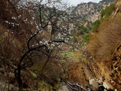 -黑龙潭风景区