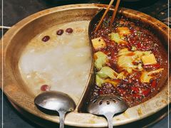 -杨家火锅(国美店)