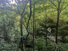 -陕西省红河谷森林公园