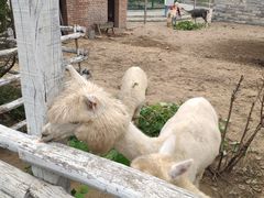 -清风小镇闯关东影视基地