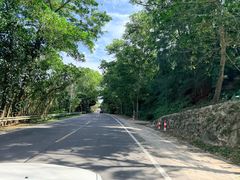 -邮电新村嘉积鸭美味园