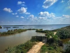 -盐城丹顶鹤湿地生态旅游区