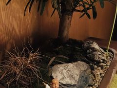 -梅间堂茶馆(绿地缤纷城店)