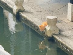 -阳明祠
