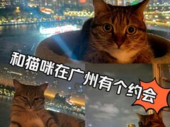 -珠江夜游广州塔·中大码头