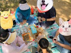 -前关湿地公园