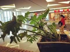 -蜜桃餐厅·江浙融合菜(荟聚购物中心店)