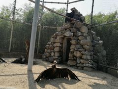 景点-西安秦岭野生动物园