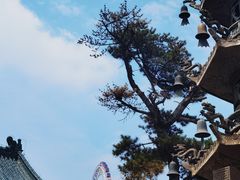-天津大悲禅院