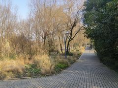 -西湖风景区-江洋畈生态公园