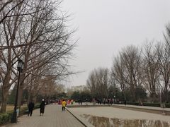 -玲珑塔公园