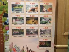 -杭州第一世界大酒店·云曼温泉