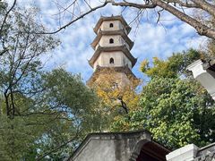 -江心屿景区