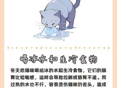 -FAELING PETS美天灵宠物(富力广场店)