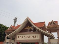 -大湾区中央湿地公园-十九涌
