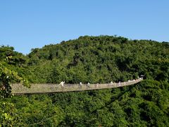 -亚龙湾热带天堂森林公园