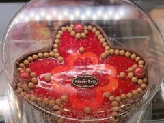 -哈根达斯(芳圆里店)