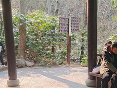 -云龙山