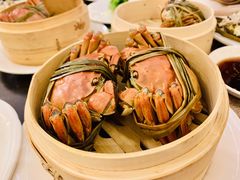 -上海大酒店(南京东路店)