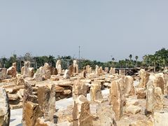 -东芭乐园