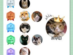 -翊宠yipet猫狗购宠庄园