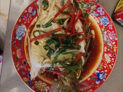 -葱妈母婴医护月嫂中心(浦东店)