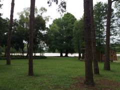 -南宁良凤江国家森林公园