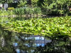 -北海道厅旧本厅舍(旧本庁舎)