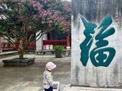 -总统兵马大元帅府