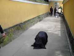 -普陀山慧济禅寺