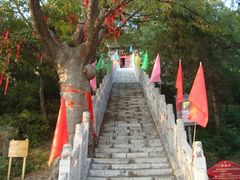 -富平县金粟山森林公园