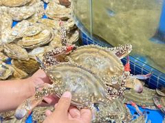 -鲜得莱渔港·小平岛海胆馆(七贤岭店)