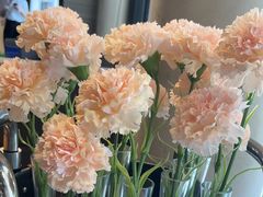 -上座·餐厅(阳光100店)