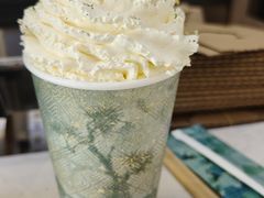 -雾与山茶(大禹城店)