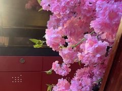 -HIHE Bistro·Oyster Bar(华熙live店)