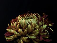 -汇龙潭