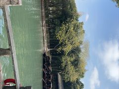 -乌镇东栅景区
