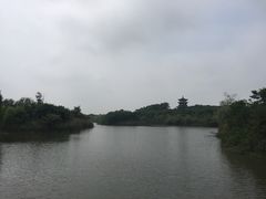 -梁鸿国家湿地公园