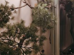 -潮上潮(南中环店)