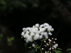 -道须沟旅游风景区