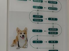-瑞派康怡24h宠物医院·犬猫医疗中心·微创绝育(瑞景分院)