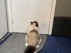 -零纪元VR体验馆·桌游(黄浦店)